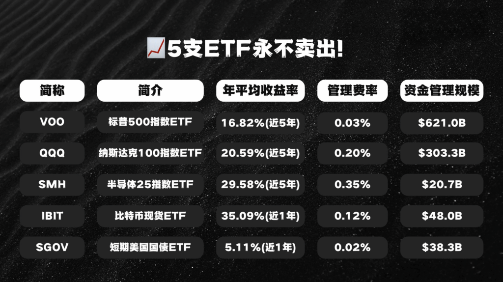 一图看懂永不卖出的5支etf！ (2)